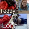 Daisy Lang - @daisylang1 - TikTok