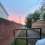 daisy - @daisylangley91 - Instagram