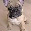 DAISY LARA - @daisy_28392 - TikTok