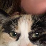 daisy larson - @dizzy.daisyy - Instagram