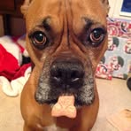 Daisy Lassiter - Facebook