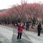Daisy Law - @daisy.law.169 - Instagram