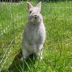 Daisy Nibbles Lawrence - @daisy.nibbles - Instagram