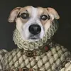 Laxidaisy - @_laxidaisy_ - TikTok
