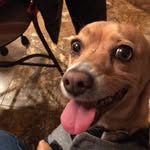 DAISY🌸🌼🌻🐶 - @daisy._lay - Instagram