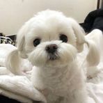 Daisy Le - Facebook
