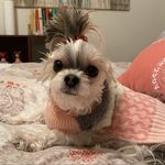 Daisy Lechuga - @daisymimi_lechuga - Instagram