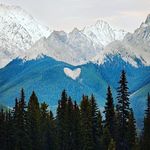 Leslie McL - @daisy.leslie.daisy - Instagram