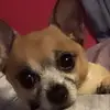 daisymay2 - @daisyletts2 - TikTok