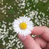 Daisy 🤍 - @daisy.lewis09 - TikTok