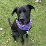 Daisy Lewis - @babydogdaisy - Instagram