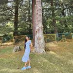 daisy_art - @daisylight_2002 - Instagram