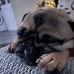 Daisy Light - @daisylight9 - Instagram
