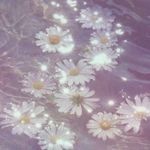 Daisy.Light - @daisylightyear - Instagram
