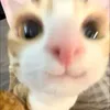 daisylighttt - @daisylighttt - TikTok