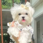 Daisy & Lilly 🌼💐 - @ddaisy_lilly - Instagram