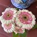 Daisy Lim - Facebook