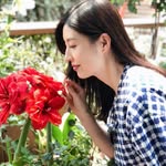 Daisy Lim - @kaisiwiwiw - Instagram