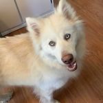 Daisy Link - @lazy_daisylink - Instagram