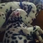 Daisy Lockhart - @lockhart_daisy - Instagram