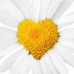 Daisy Lomeli🌻 - @_daisy_lomeli_ - Instagram