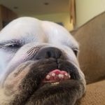 Daisy Long - @longdaysofdaisy - Instagram