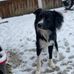 Daisy Mann - Facebook