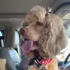 Daisy May - @daisy.may668 - TikTok
