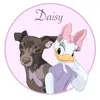 DAISY MAY - @daisy____may - TikTok