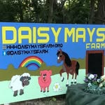 Daisy Mays Farm - @daisy_mays_farm - Instagram