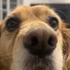𝒟𝒶𝒾𝓈𝓎❀ - @daisy_mcclelland2 - TikTok