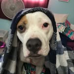 Daisy ❤️ - @daisy_mccormack - Instagram