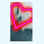 Daisy May McCormack - @daisy.may.mccormack - Instagram