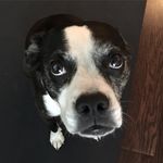 Daisy Tang-McCormick - @daisymctang - Instagram