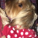 daisy.mccormick - @daisy.mccormick - Instagram
