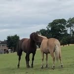 Daisy Mccrory - @daisy_mccrory - Instagram