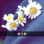 Daisy McDonnell 🌼🎨 - @creative_daisy - Instagram