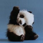 Daisy McGee - @daisymcgee4403 - Instagram