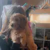 Daisy Mcgee - @daisy.mcgee41 - TikTok