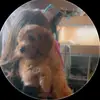 Daisy McGee - @daisy.mcgee60 - TikTok