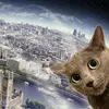 daisychainmcgee - @daisychainmcgee - TikTok