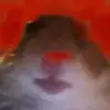 user2911089364100 - @daisy_mcgee_02 - TikTok