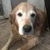 daisy_mcgrath123 - @daisy_mcgrath123 - TikTok
