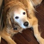 @daisy_mcgrath45 - Instagram