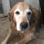 Hi Everyone - @daisy_mcgrath123 - Instagram