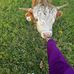 Daisy Mcgraw - Facebook