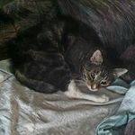 Daisy McIntyre - @daisymcintyre56 - Instagram