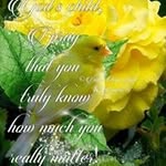 Daisy LaFalaise McKee - @lafalaisemckee - Instagram