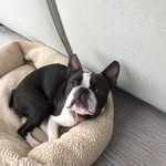 Daisy Mckee - @daisy_bear_mckee - Instagram