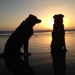 Daisy + McKenna - @mckdaisy - Instagram